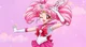 Sailor Chibi Moon