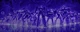 13 Primes TFO