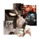 01AOT PORCO GALLIARD