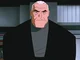 DCAU Old Bruce