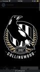 Collingwood Magpies