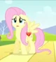 Fluttershy 