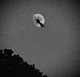 The Moon virus