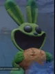 Smiling Critter
