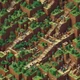 Minecraft Experiment