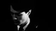 Thomas Riddle
