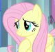 Fluttershy