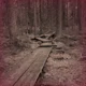 Camp Half-Blood PJO
