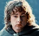 Pippin Took 