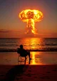 Nuclear Apocalypse 