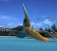 Pteranodon