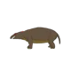 AU-Moeritherium WP
