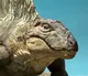 Dimetrodon