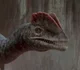 Dilophosaurus