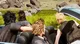 The universe of ffxv