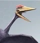 Zhejiangopterus