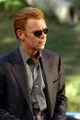Horatio Caine