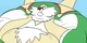 Pokemon Heights