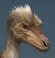 Velociraptor