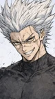 三 Garou