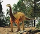 Shunosaurus
