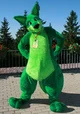 Duncan the Kangaroo