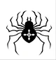 The Spider