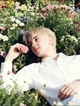 DRACO malfoy0023