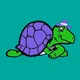 Terrance the Turtle