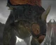 Centrosaurus
