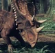 Chasmosaurus