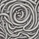 The worm virus