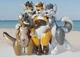 Inflatable Dogs