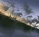 Monster apocalypse