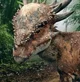Stygimoloch