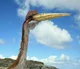 Quetzalcoatlus