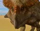 Protoceratops