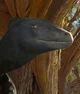 Deinonychus