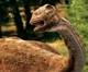 Saltasaurus