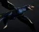 Microraptor