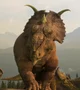 Pachyrhinosaurus