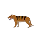 AU-Hyaenodon WP