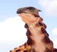 Scelidosaurus