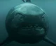 Dunkleosteus