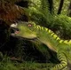 Hypsilophodon