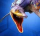 Leptocleidus