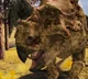 Einiosaurus