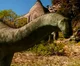 Apat0saurus