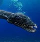 Mauisaurus