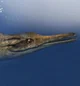 Geosaurus
